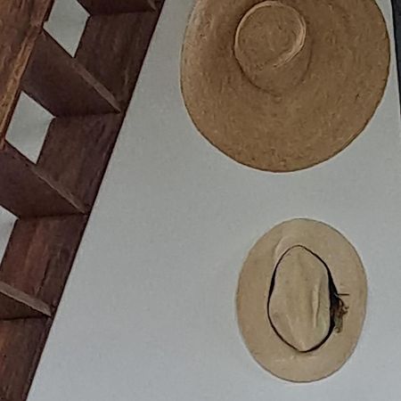 Farida Boekestijn Villa Jagtlust Luaran gambar