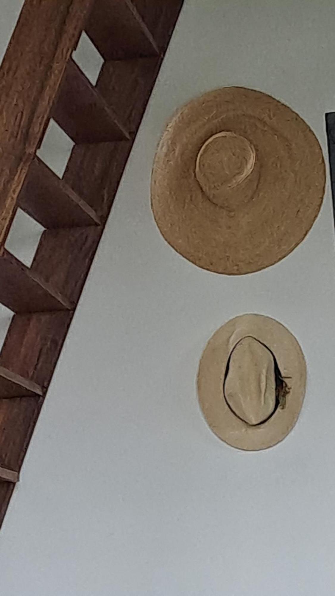 Farida Boekestijn Villa Jagtlust Luaran gambar